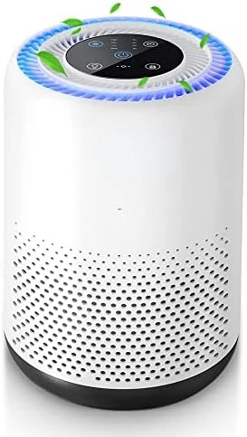 

HEPA Air Purifiers for Home Bedroom, H13 True HEPA Filter Removes 99.97% of Hair, Fur, Dust, Bacteria, Smoke, Mold, Pollen, Alle