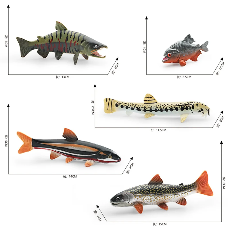 Simulation Marine Animal Cobitis Sinensis Dace Salvelinus Leucomaenis Action Figures Salmon Piranha Miniacture Educational Toys images - 6