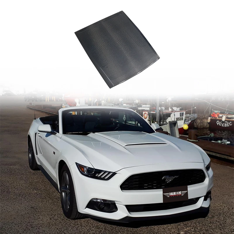Amazing 2015 Mustang Hood Scoop Gallery