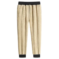 2023 Men's Winter Lamb Wool Thickened Warm Sportswear Men's New Casual Drawstring Jogging Pants Men's High-Quality Cotton Pants 2