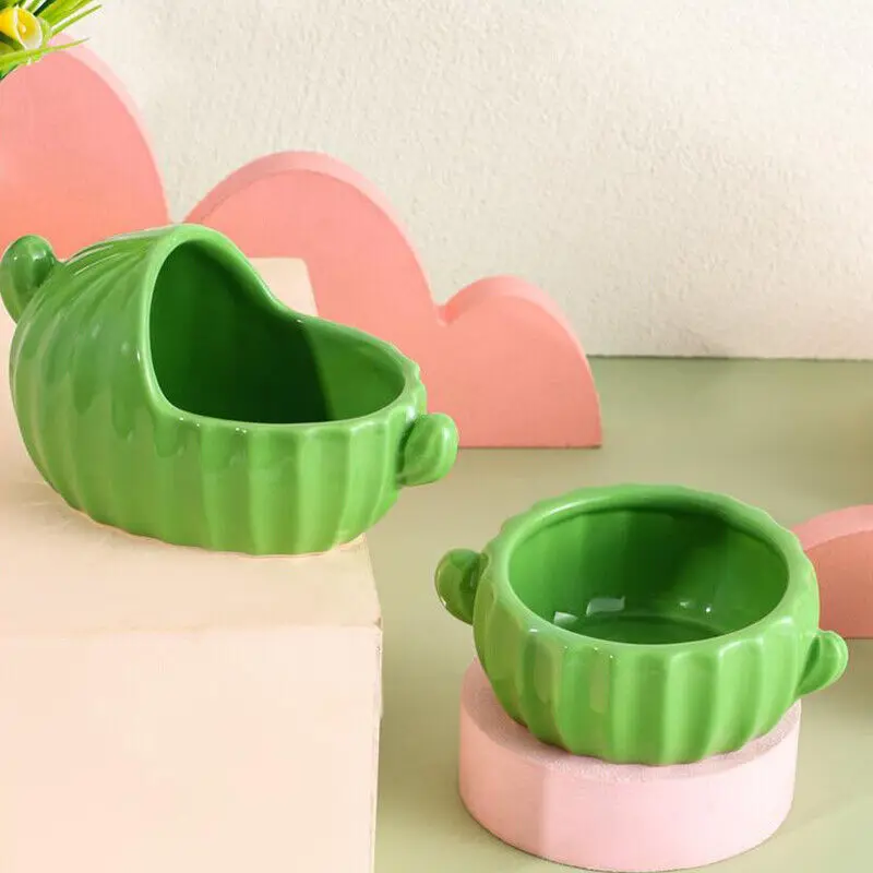 Cactus Food Bowl & Bath Tub with Water Bottle Holder 2