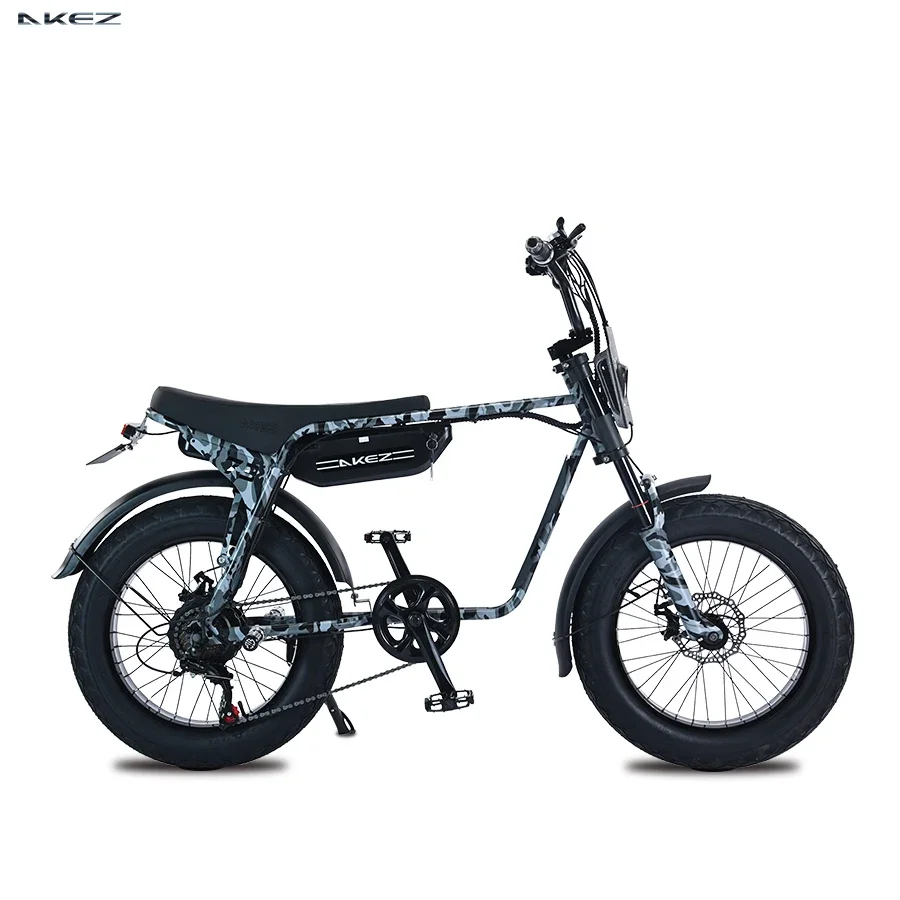 AKEZ Electric Bike Adults 20" Fat Tire 750W Motor Ebike Electric Mountain Snow Bike 48V 13AH Battery Front Fork Suspension