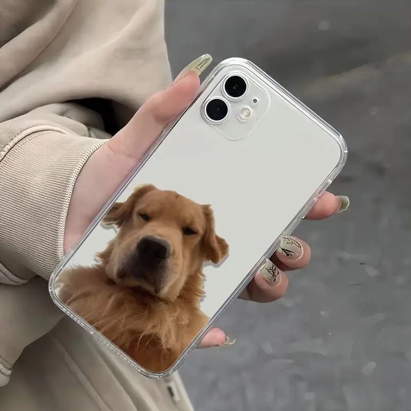 Funny Golden Retriever Clear Phone Case For iPhone 16 15 11 12 14 13 Pro Max Mini X XSMax XR 7 8 Plus SE4 16e Silica Cover Funda 2