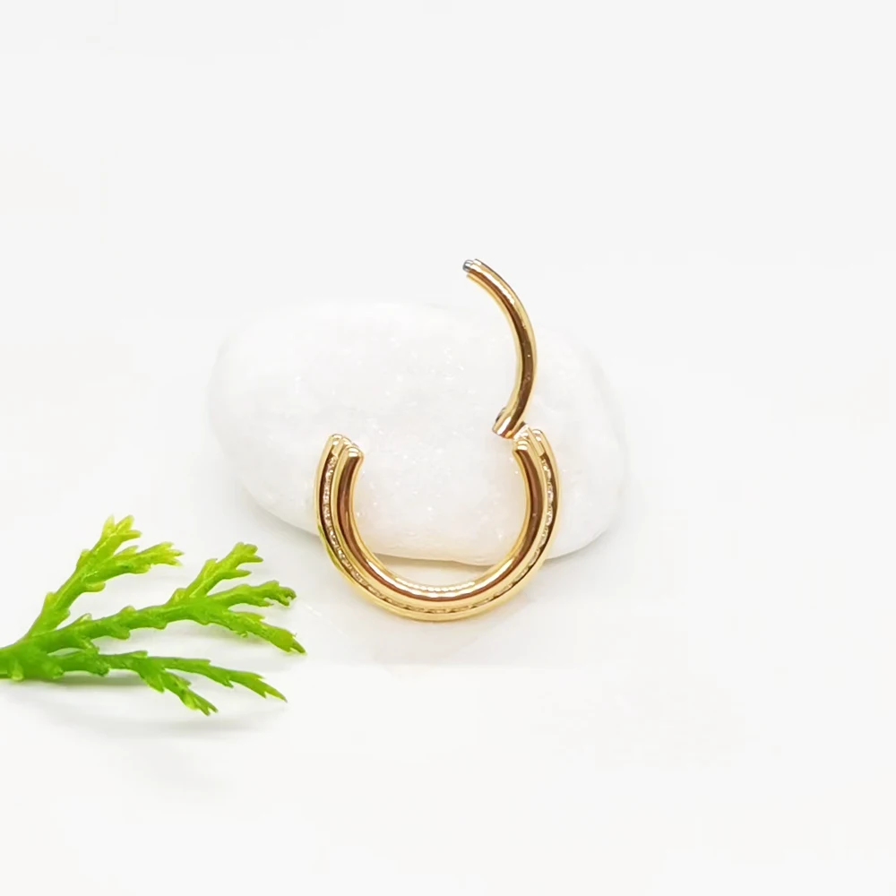 Nose Piercing Septum Nose Rings Zircon Hight Segment Clicker Hoop Ear Cartilage Tragus Piercing Earrings G23 Titanium Jewelry