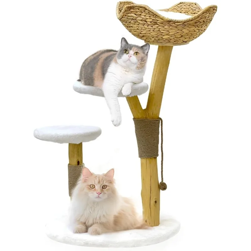 

Cat Tree Tower, Real Branch Wood Tower with Luxury Cat Condo, Cat Scratching Post, Jumping Platforms, Coffee Wood