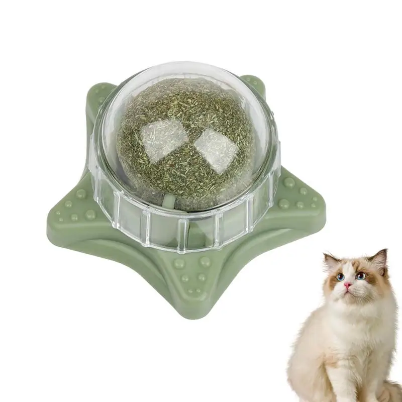 Catnip Ball Toy Antipolvere Natural Catnip Toy Starfish A Forma Di Masticare Montaggio A Parete Catnip Ball Forniture Per Animali Domestici Rotanti A 