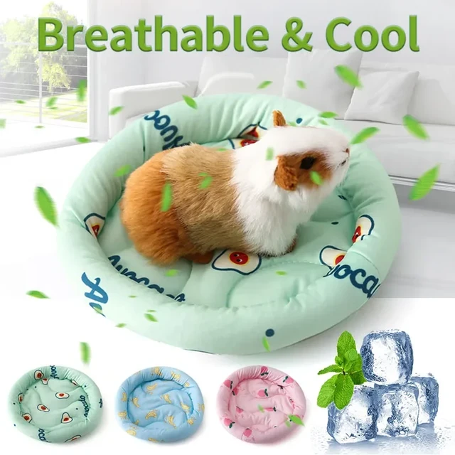 Guinea Pig Bed Hideout Warm House Rabbit Hide For Hamsters Hedgehogs  Ferrets Dwarf Small Animals Cozy House Sleeping Cushion - AliExpress