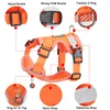 No Pull Small Dog Harness and Leash Set Breathable Puppy Chest Strap Reflective Pet Harness Vest 4-point Adjustment Chihuahua 2