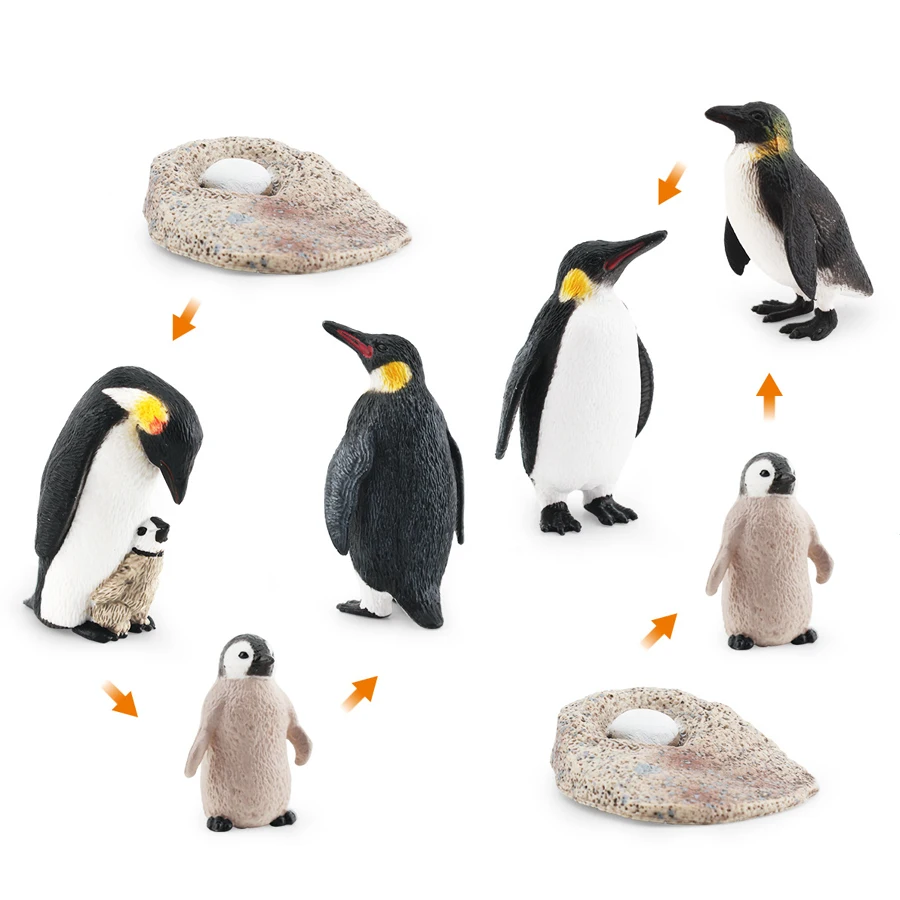Realistic Polar Animals Penguin Growth Cycle Model Figurines Toy Arctic Penguins Animal Igloo Figures PlaySet Kids