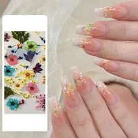 5Pcs/box 3D Dried Flowers Nail Art Decorations Dry Floral Bloom Stickers DIY Manicure Charms Designs For Nails Accessories 2