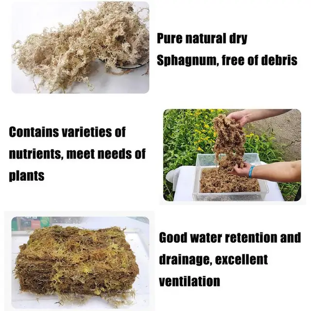 1Csepp Természetes Sphagnum Sűrített Víz Moha Orchidea Szárított Kertészeti Növények Elősegítik A Páratartalom Fenntartását - Image 3