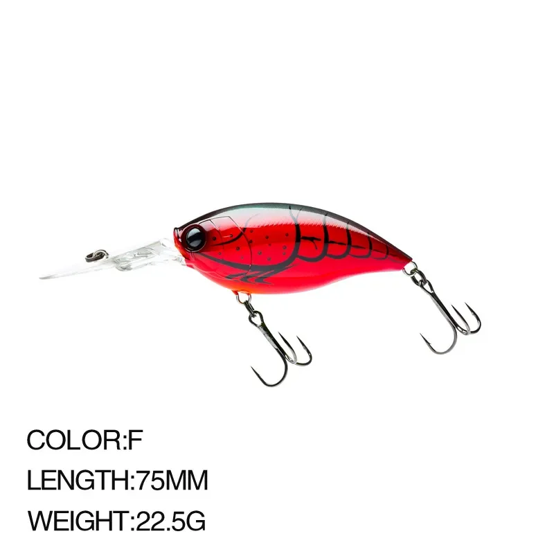 2Pcs Color F