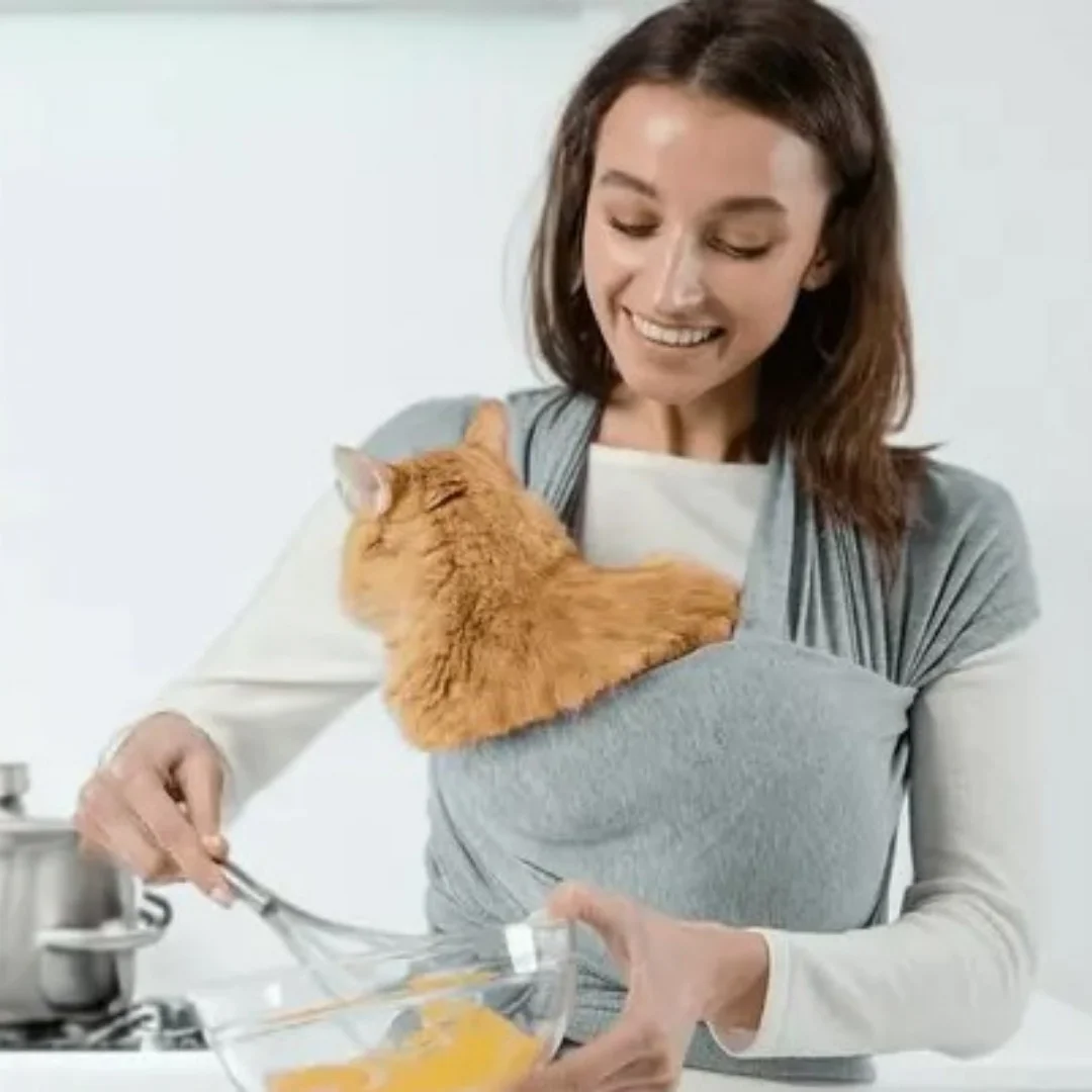 4635-fdc689.jpg Mochila para mascotas, correa para mascotas