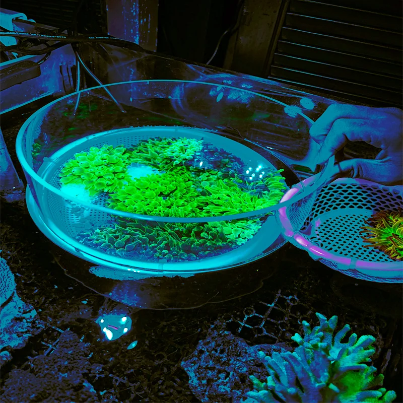 Acrylic aquarium surface coral observation mirror photography mirror anti-interference magnifying glass,aquarium observation mirror