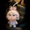 Protective Acrylic Storage Case For Plush Dolls Display Bag for Crybaby No Doll Transparent Portable Cable Organizer Box Storage 5