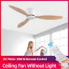 IRALAN Modern Ceiling Fan Without Lights DC Motor 6 Speeds Timing Fans 20CM Low Floor Loft Remote Control Lux&vitae Fan 1