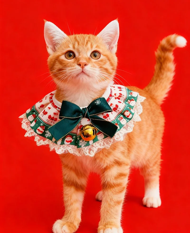 猫咪围脖