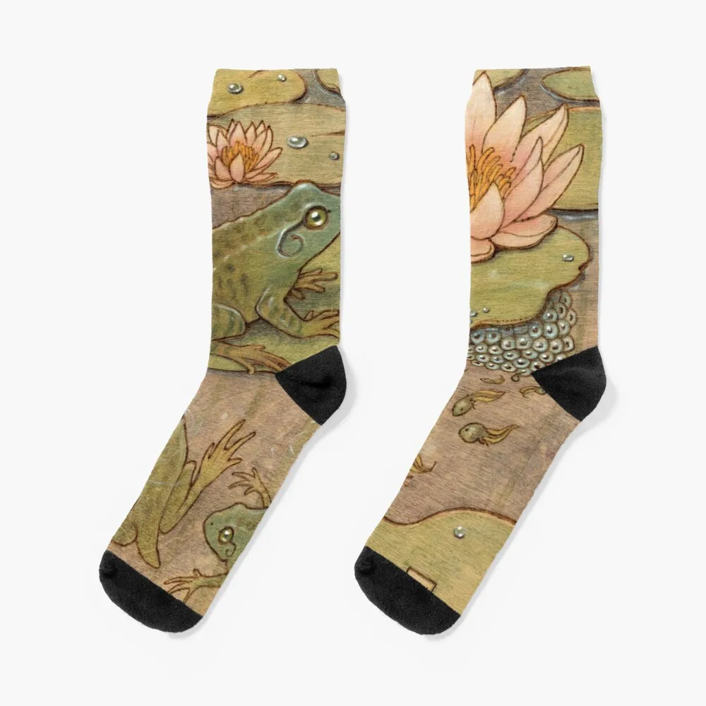 Frog Life Cycle Socks Christmas Gift