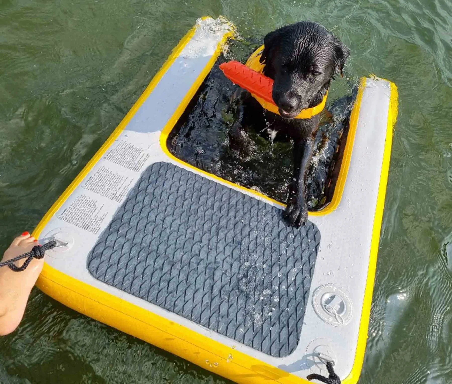 Inflatable Pet Dog Ramp Floating Pup Plank Outdoor Floating Dock on Water