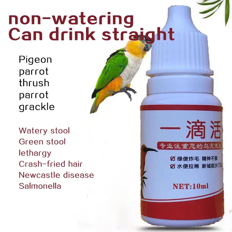 Pigeon parrot bird lifesaving conditioning fluid Diarrhea Green stool Salmonella Newcastle disease mental depression