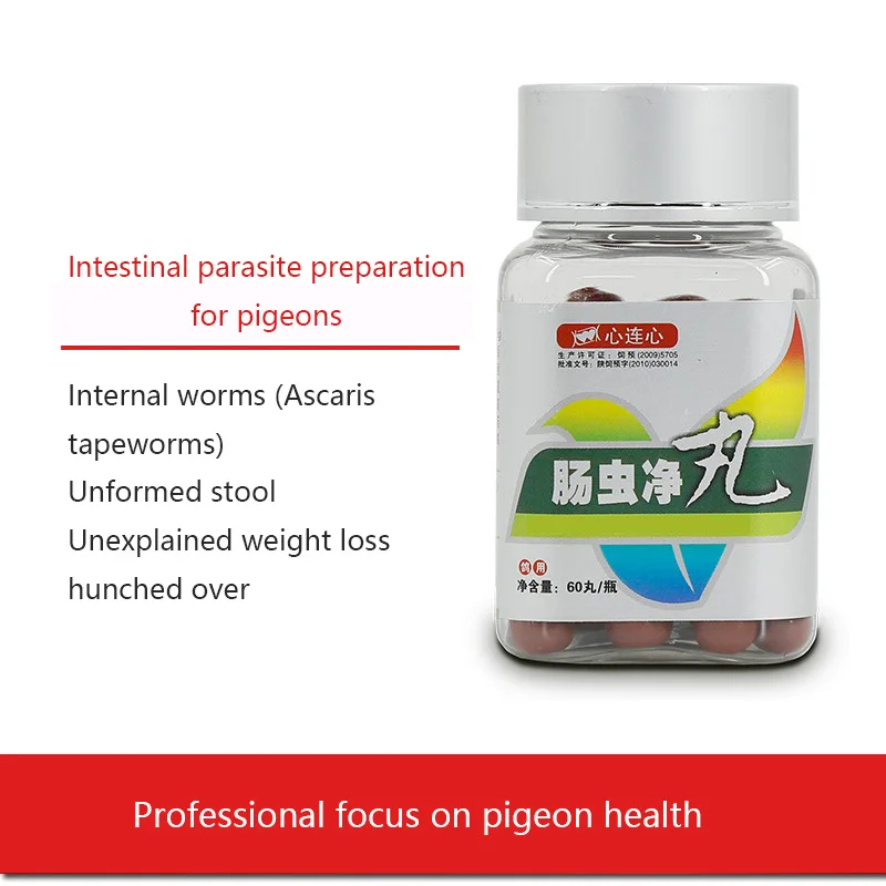 

Голубь, птица, попугай, внутреннее и внешнее дегельмирование и таблетки из сетки для кишечника, голубь, emaciated, Сыпучие перья, недостаточная э...