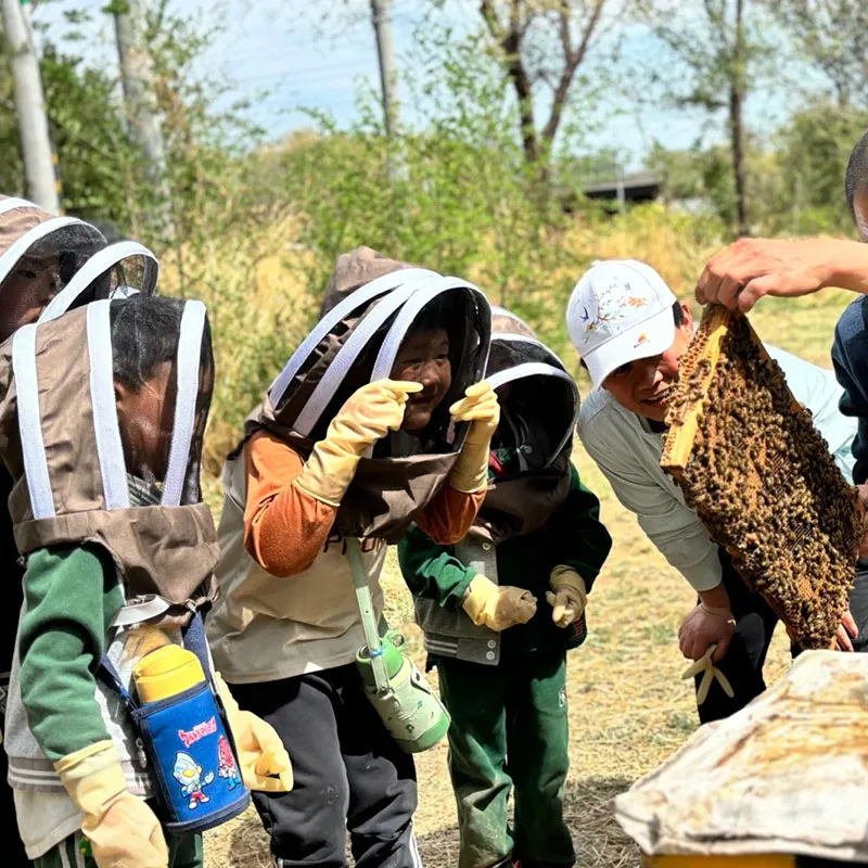 مكافحة قبعة النحل النحال خلية النحل تربية النحل قبعة رعاة البقر البعوض النحل شبكة حشرات الحجاب رئيس الوجه حامي معدات تربية النحل