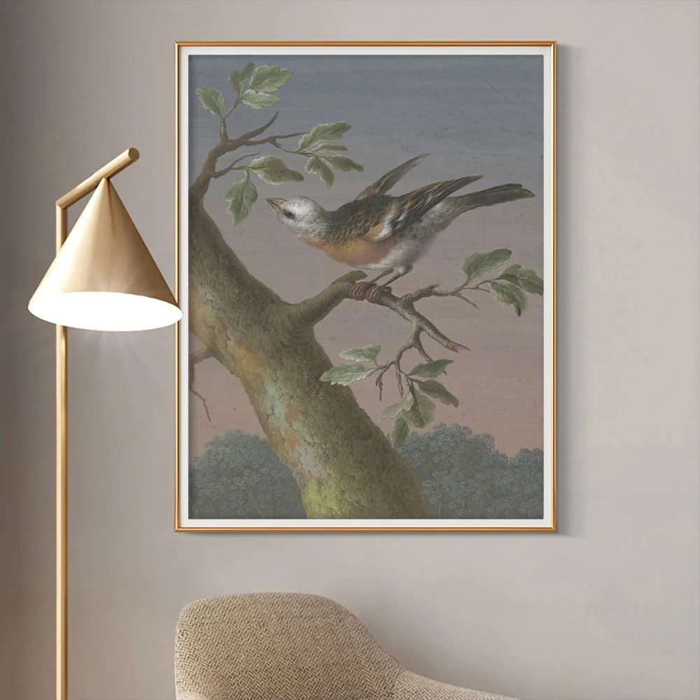 

Barbara Regina Dietzsch Vintage Print Art Poster Sneeuwgors Canvas Painting Snow Bunting Wall Stickers Animal Bird Home Decor