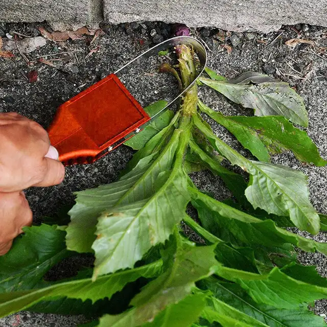 Kézhurok Gyomi Kézi Vágott Gyökerek Fém Éles Penge Gyomnövény Könnyű Eltávolítás A Fogantyú Gyűrűs Gyomnövényes Tartozékai - Image 2
