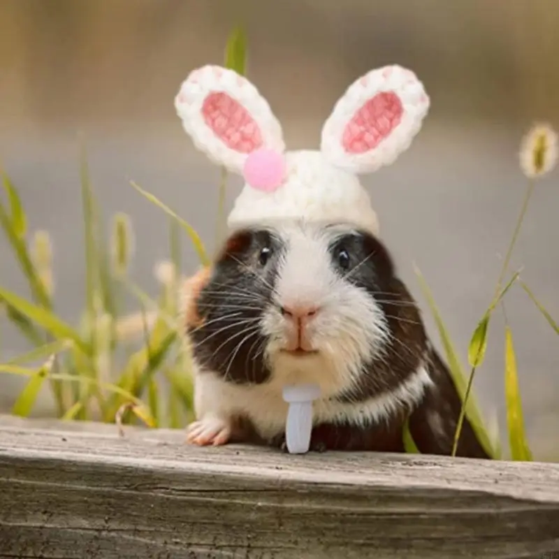 Small Pet Supplies Bunny Ears Headwear for Halloween-/Christmas Present 57EA