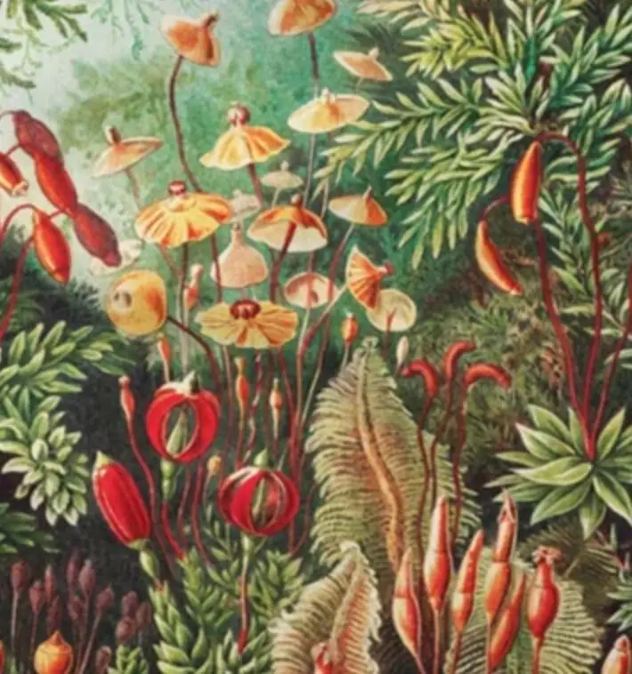 �Ĺ��� ���� ��ȣ ��� �Ĺ� ��Ƽ�� ���� �ö��� ���, �ε巯�� �淮