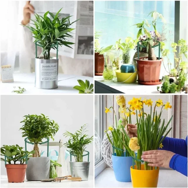 2/6Pcs Plant Support Pile Stand Semicircle Frame Fixed Rod Holder Gardening Arrangement Flower Vine Climbing Bracket Bonsai Tool 5