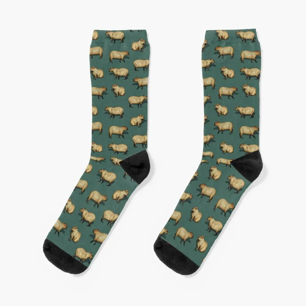 

Cute Capybara Pattern - Giant Rodents on Dark Teal Socks hiphop retro moving stockings christmas gifts Boy Socks Women's