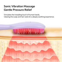 Peigne applicateur d'huile capillaire électrique, brosse de massage du cuir chevelu, vibration sonique, lumière LED, distributeur de liquide, brosse démêlante pour les soins capillaires 7