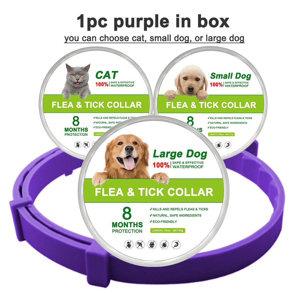 purple (in box)
