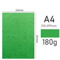 Vibrant Multicolor A4 Craft Paper Pack - 180gsm, 12 Shades - 20 (Green)