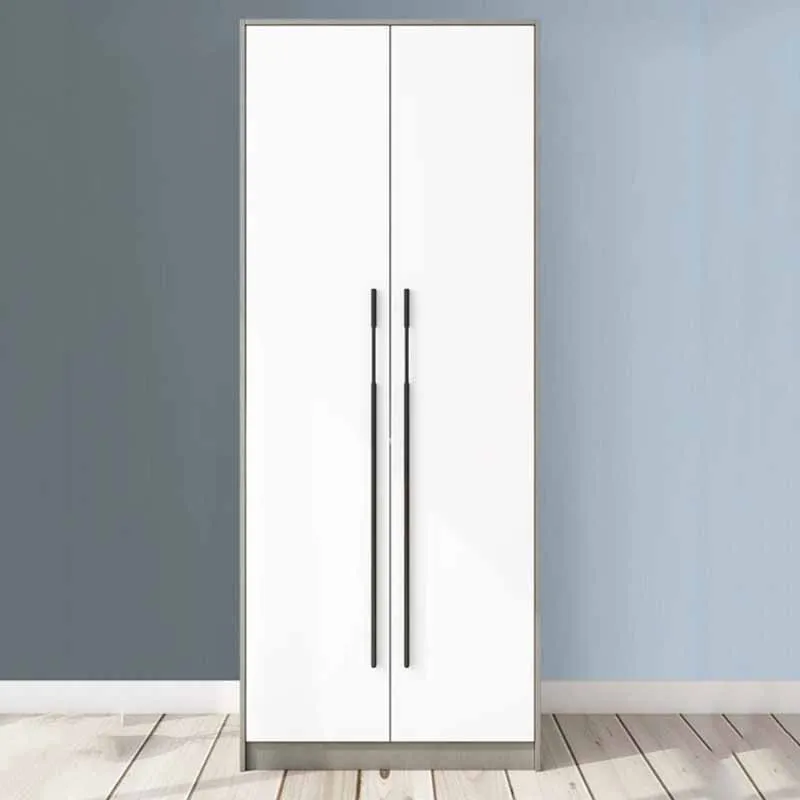 

Two Door Wood Wardrobes Organizer European Multifunction Luxury Wardrobes Wooden Storage Szafki Do Salonu Nordic Furniture