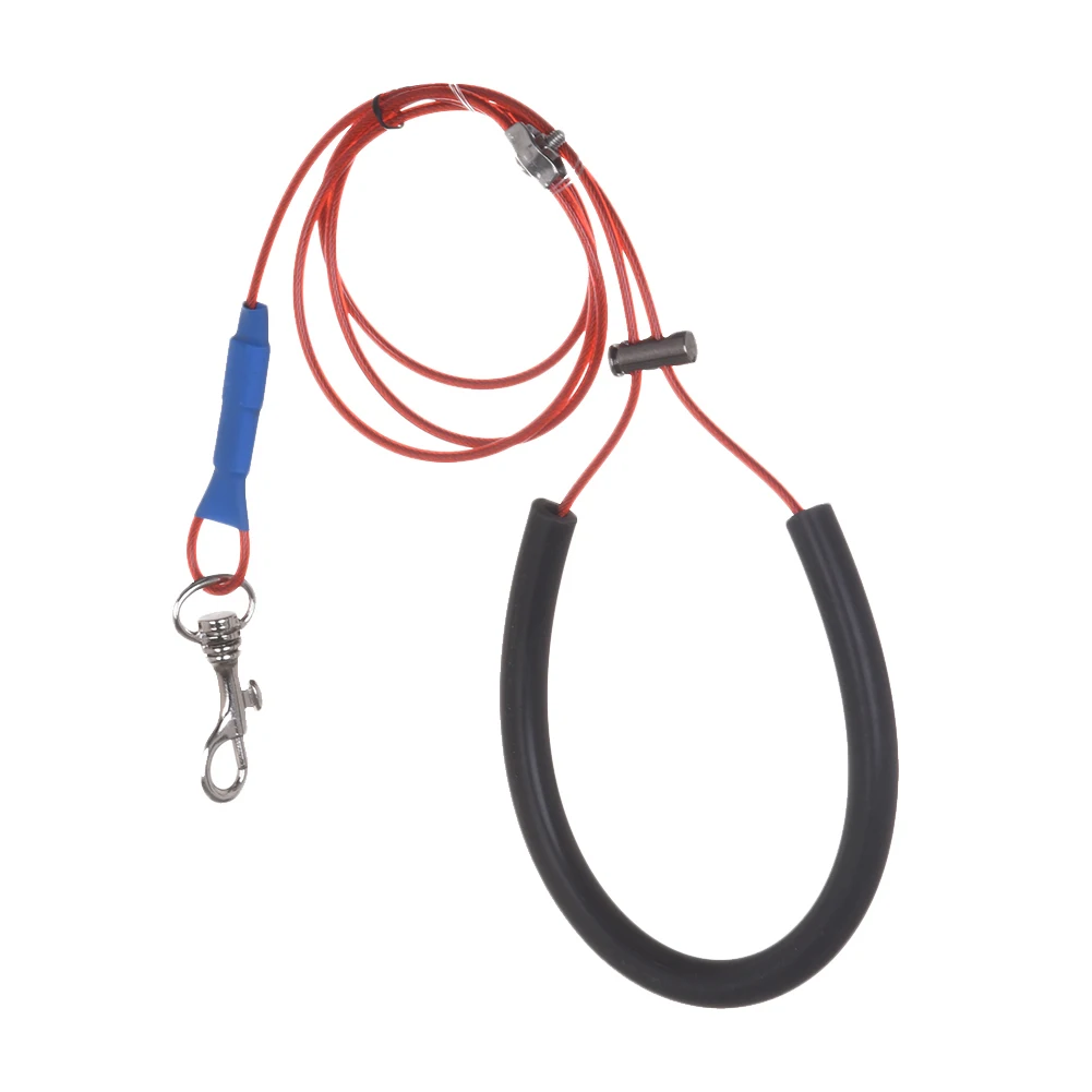 애완견 미용 와이어 로프 케이블, 개 목걸이 용품 장식, 중소형 개 미용