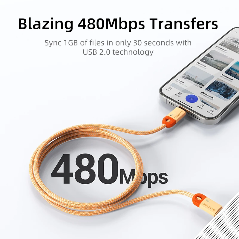 Premium Braided USB-C Fast Charging Cable - 60W, 480Mbps, 3A