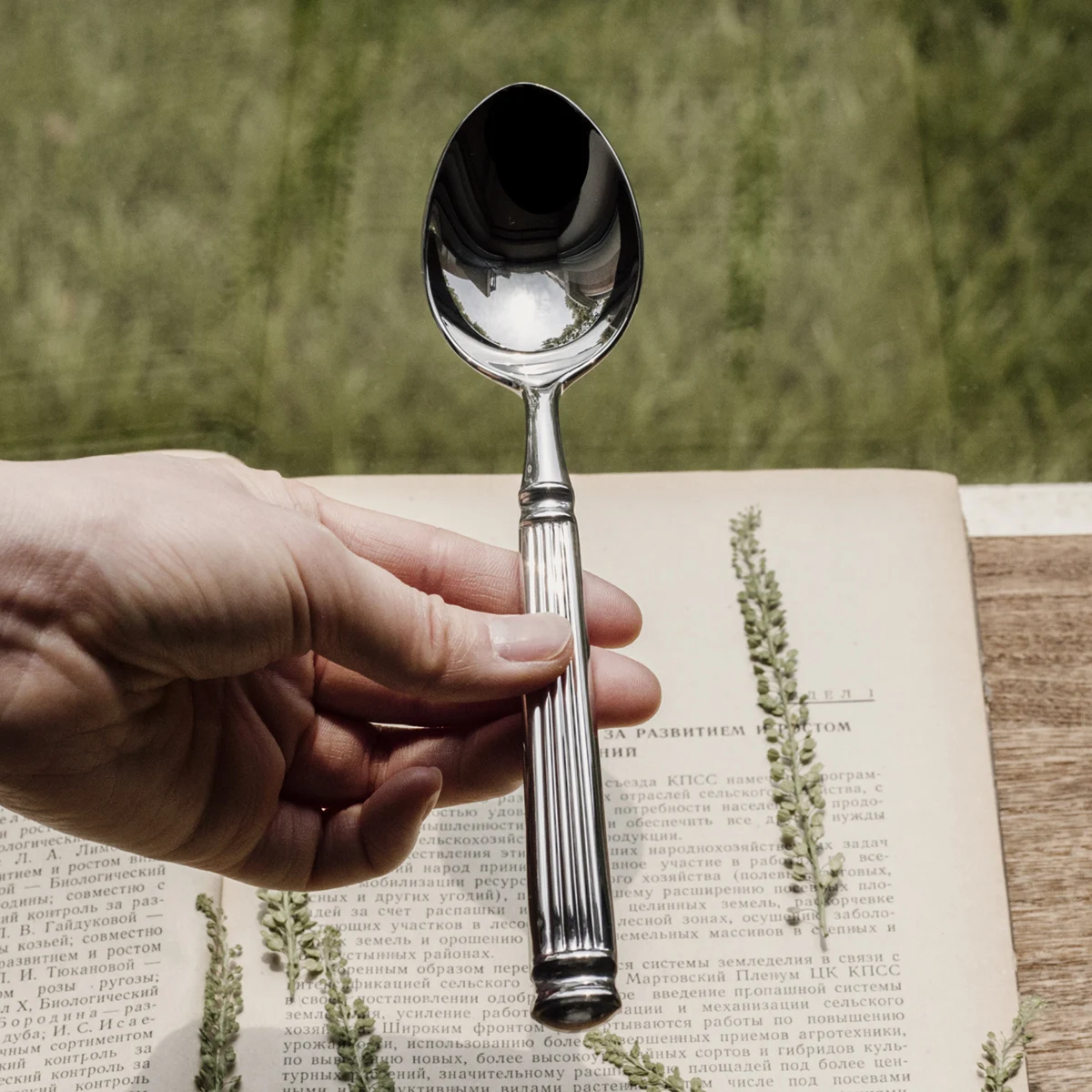 Main spoon