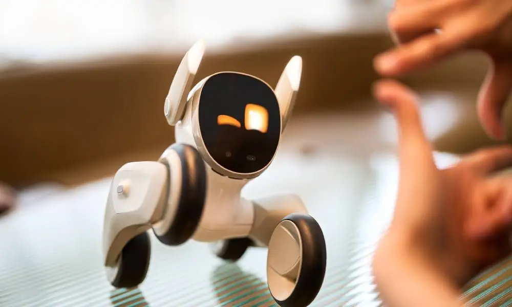 Loona Robot Intelligent Domestique