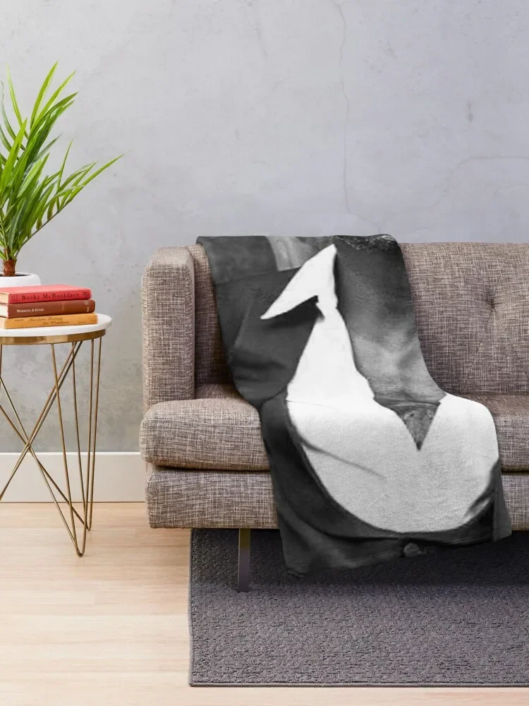 Idris elba ��ô ���, ��ũ�� ��ġ ķ�� ħ�� ���