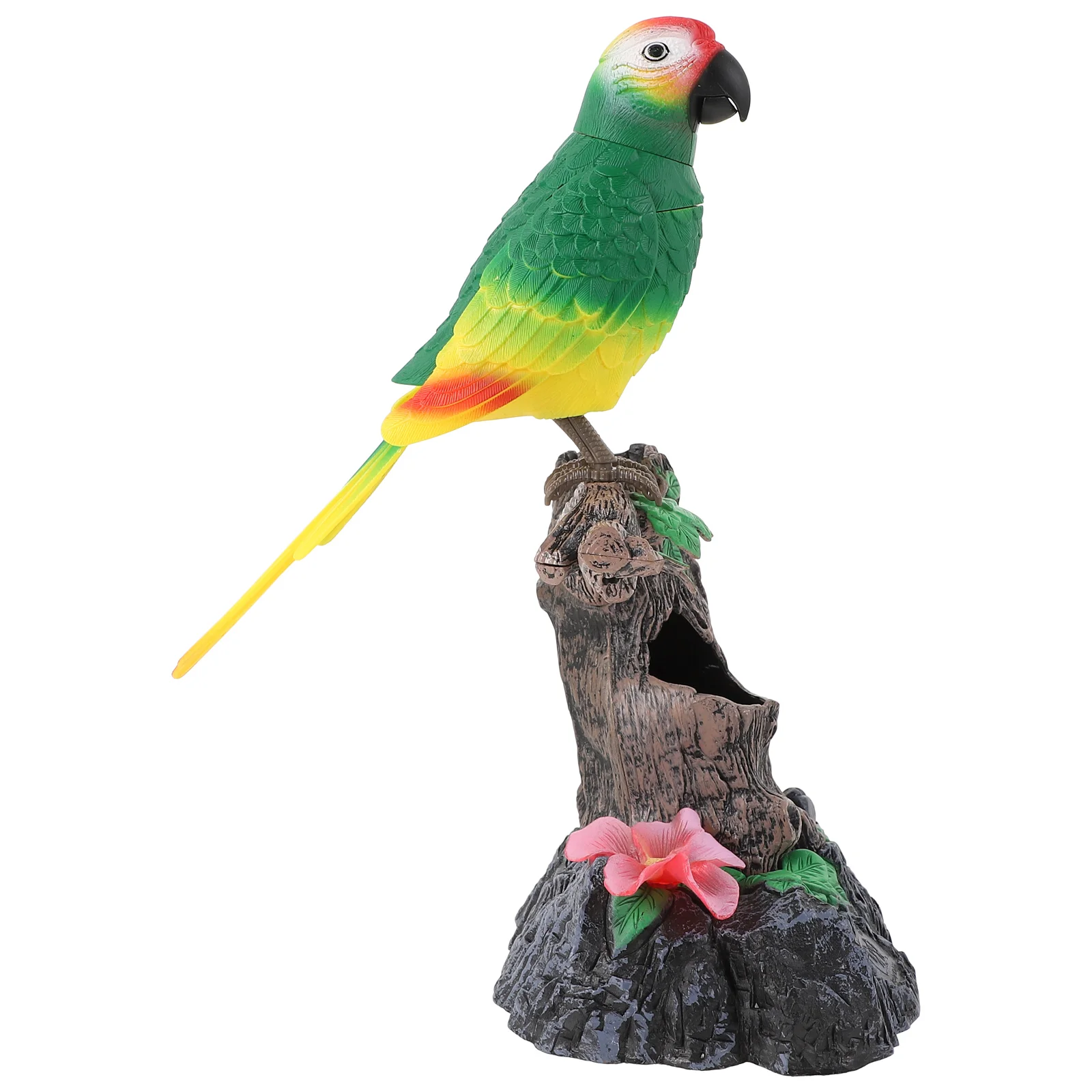 Купить Говорящего Попугая В Спб Недорого