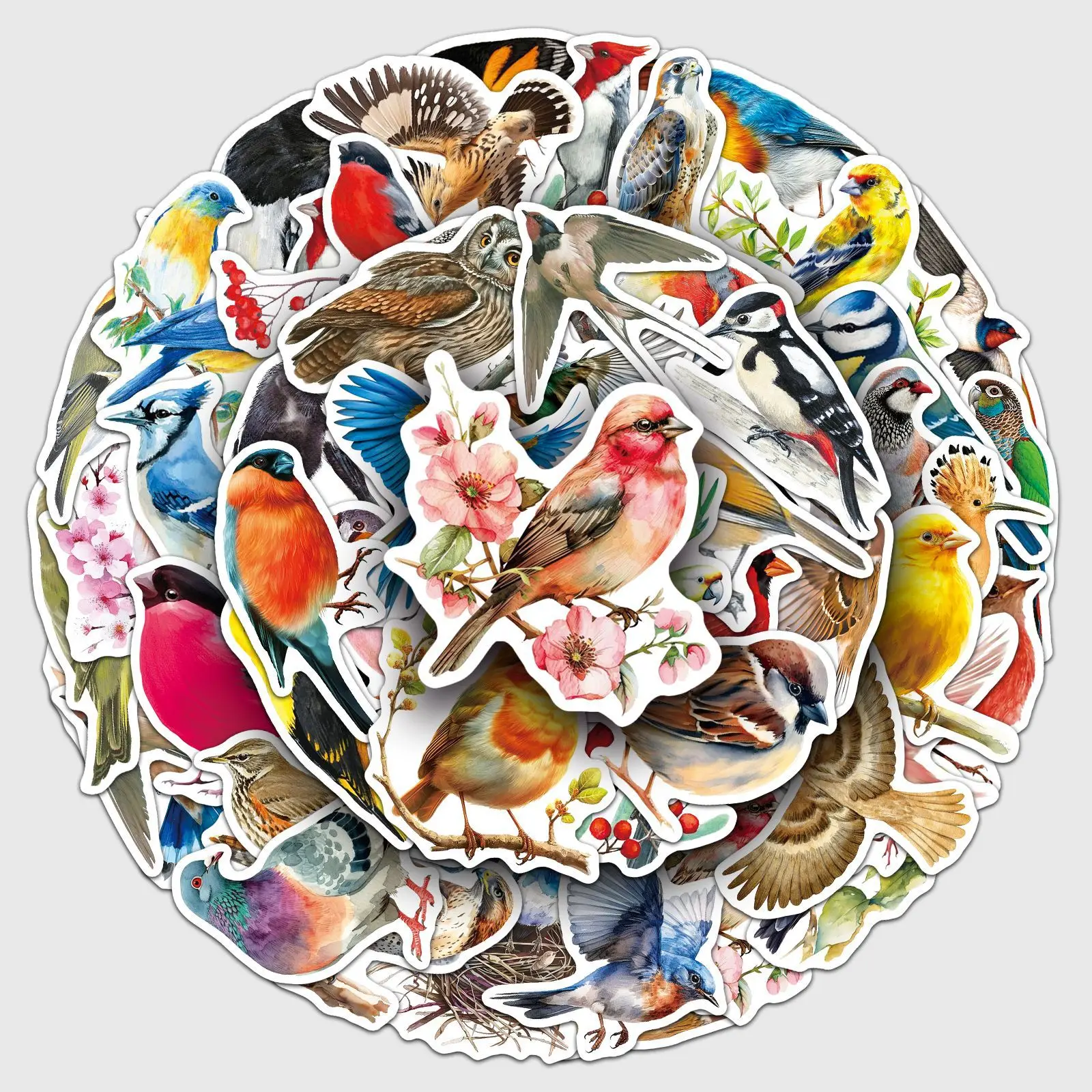 50 PCS 다채로운 새 동물 학습 방수 스티커 공예 활동 전화 케이스 스크랩북 노트북 DIY 장식