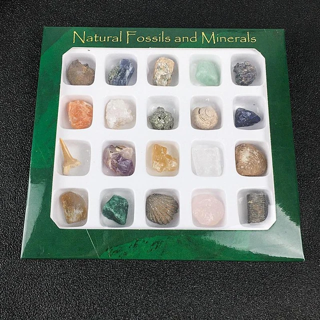 Rock Collection Box Natural Gemstone Crystal Sets Mineral Science Kit  Geology Rock Specimen For Young Geologists Kids Gifts - AliExpress