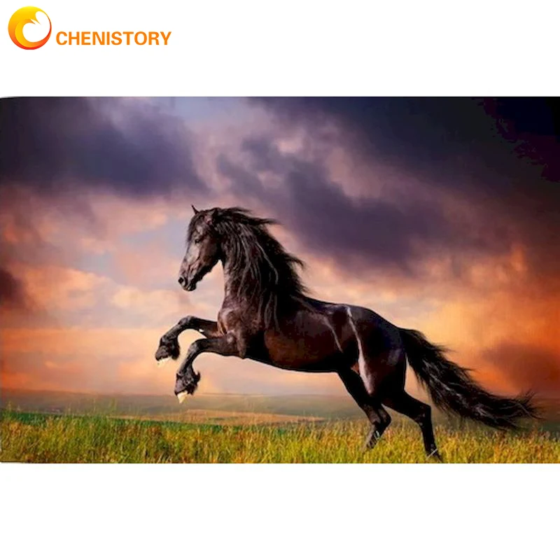 

CHENISTORY DIY Oil Painting By Numbers Animal Horse Hand Painted Painting For Home Decor Modern Handpainted Gift