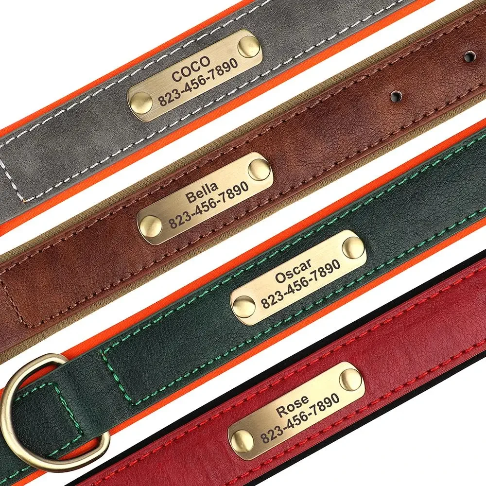 Custom Leather Dog Collar 2