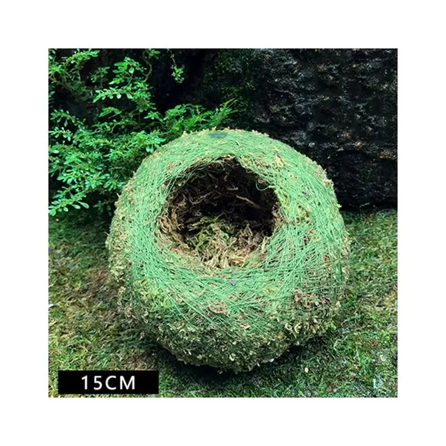 15cm