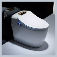 Ceramic Automatic Sanitary Waterless Toilet Electronic Intelligent Closestool Night Light Smart Toilet WC Toilet Bowl 1