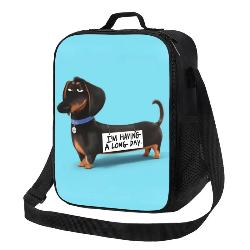 

Индивидуальная сумка для ланча с собакой таксой, Женский Термоизолированный Ланч-бокс для студентов и школ