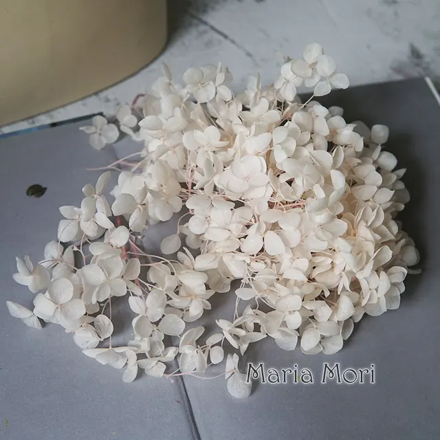 Anna Hydrangea  Flowers  Little  Leaves Preserved Hydrangea Decor  Office Decor  DIY Flowers Color 92